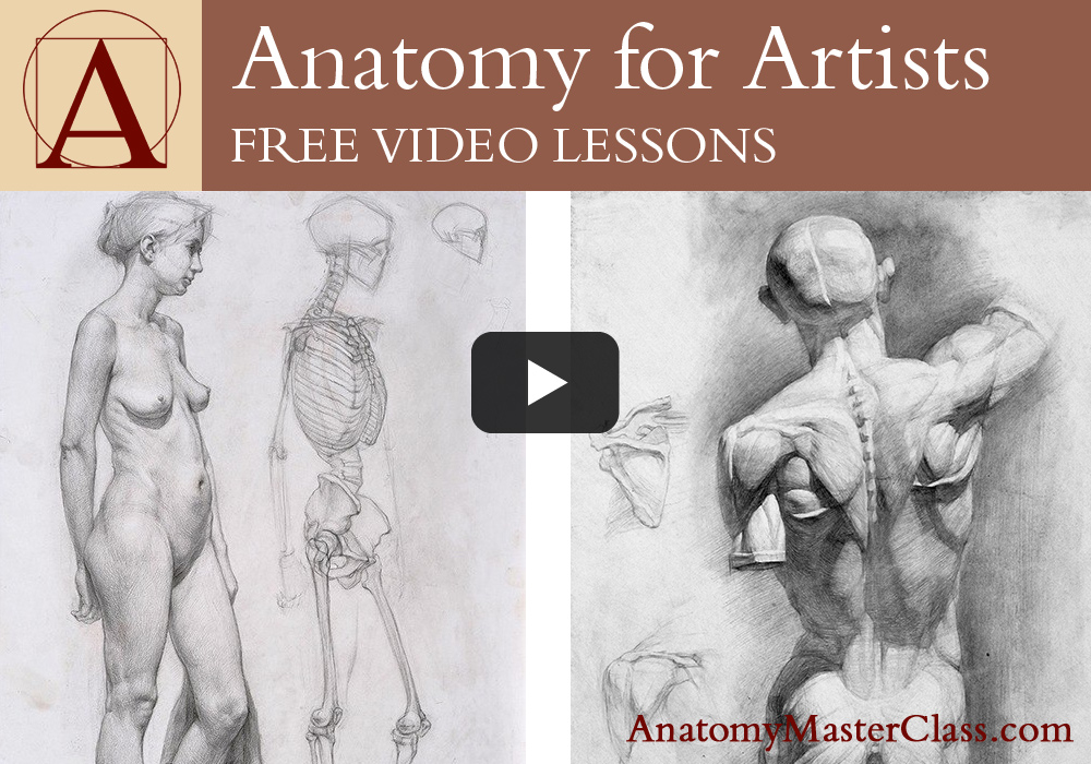 1000x700 Anatomy Master Classes Free Online Videos. Sponsoring Supersonic