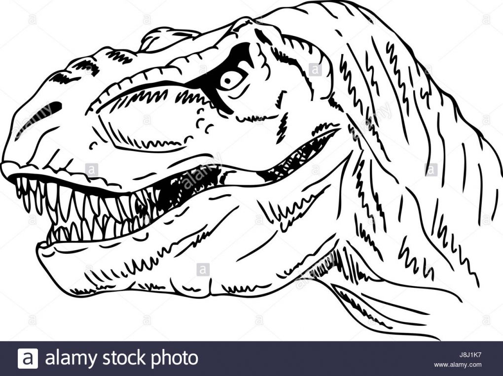 1020x763 Drawing Paint ~ Simple Drawing For Children Online Paint App Free