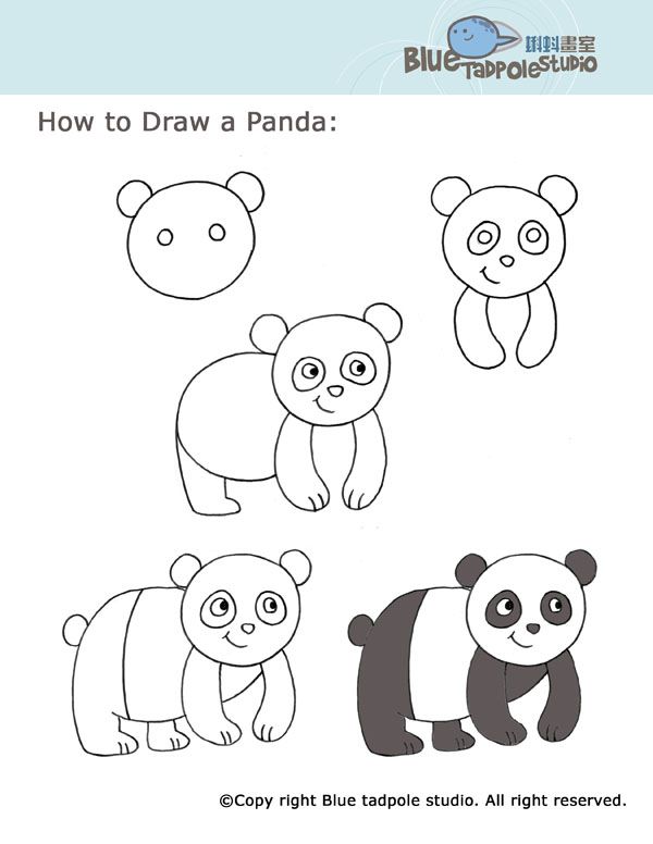 600x776 How To Draw A Panda And Many Other Cuties! Drawings
