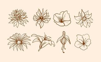 325x200 Flowers Free Vector Art