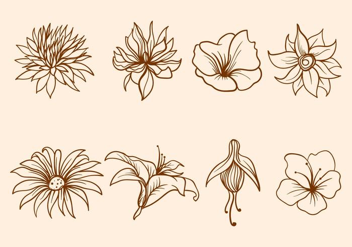 700x490 Free Hand Drawn Flower Vector