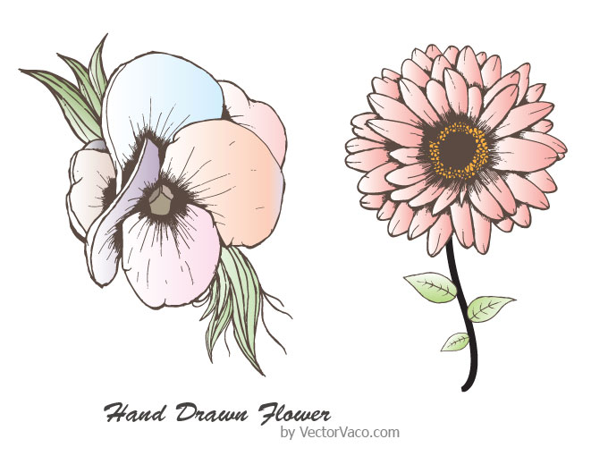 680x510 Hand Drawn Flower Vector Download