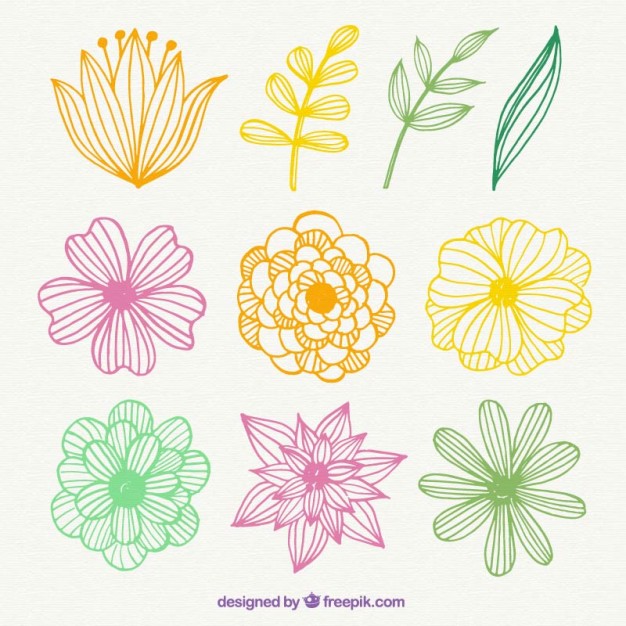626x626 Hand Drawn Colorful Flowers Vector Free Download