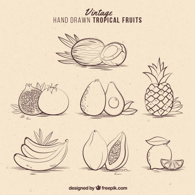 626x626 Vintage Hand Drawn Tropical Fruits Vector Free Download