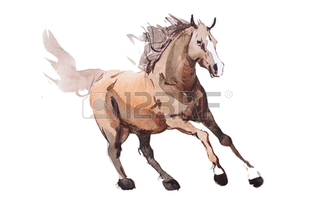 450x300 Horse Drawn Stock Photos. Royalty Free Business Images