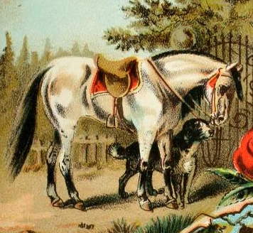 356x328 Horse Amp Dog Drawing