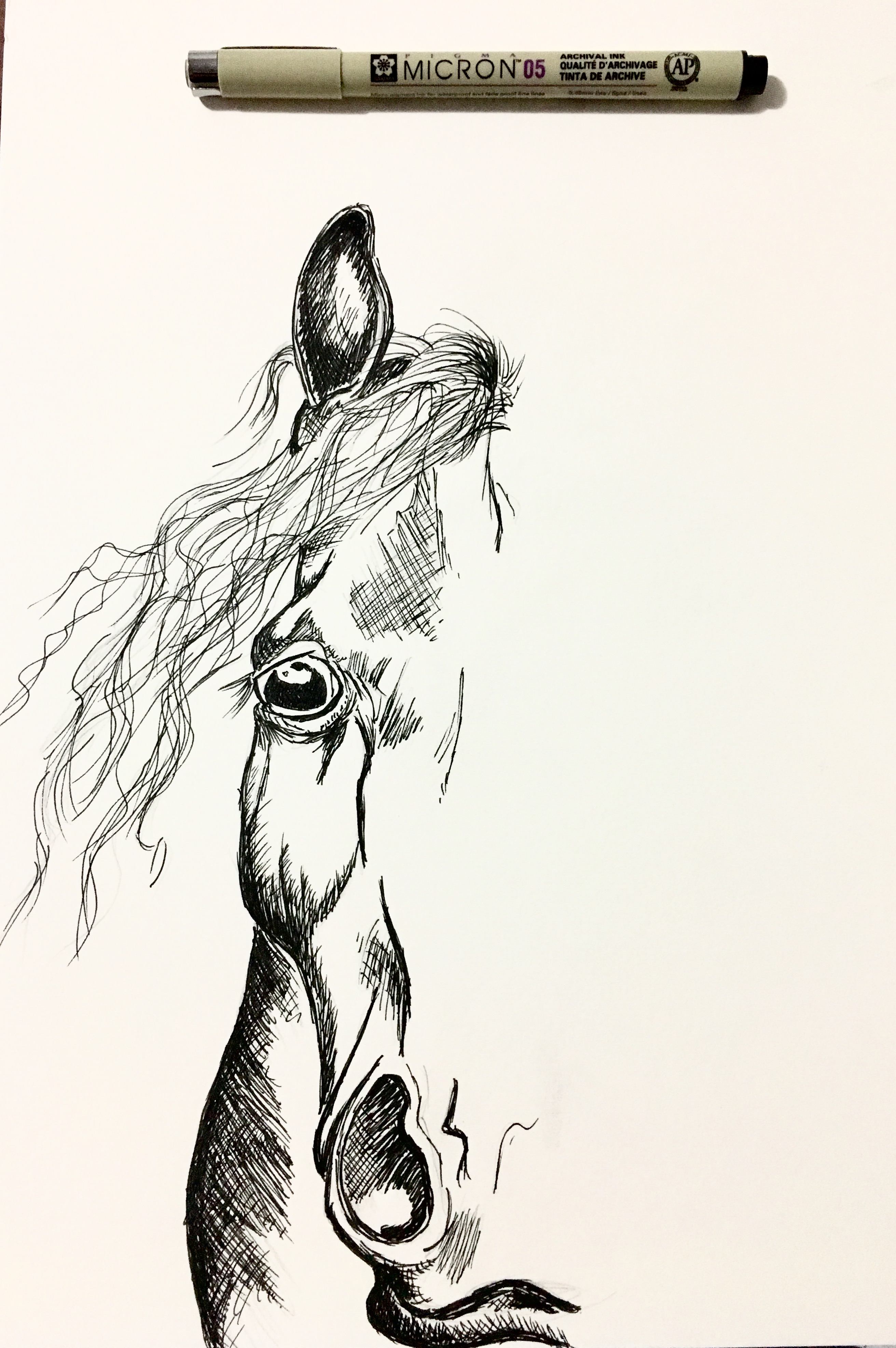 2623x3947 Wild Horse