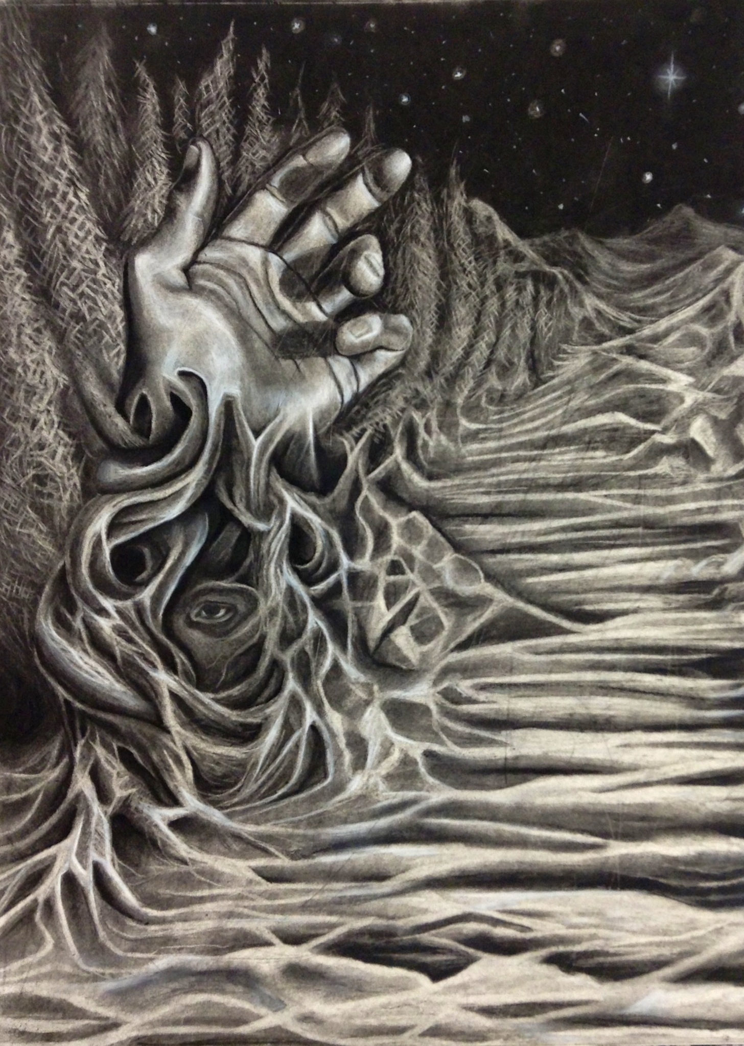 1456x2047 Subtractive Method Charcoal Freestyle Drawing. 1.2ft X 2 Ft