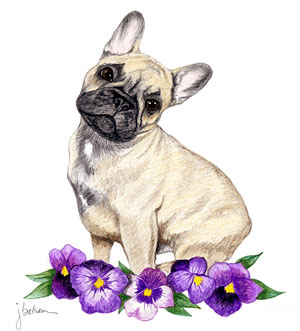 300x331 French Bulldog Art Applied Still A Dreamer