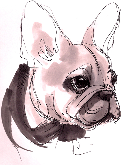 432x555 French Bulldog Pup By Beavotron