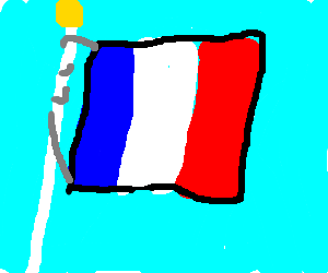 300x250 French Flag
