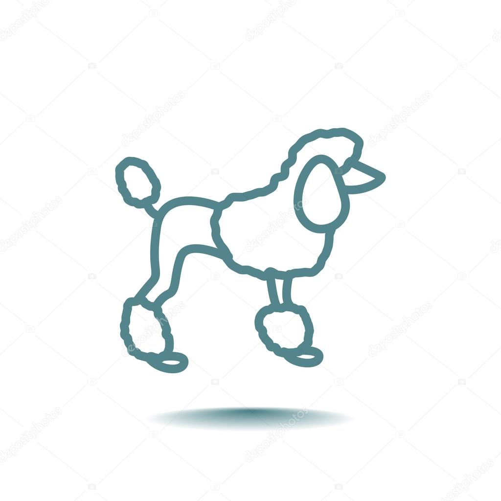 1024x1024 French Poodle Icon Stock Vector Mr.webicon