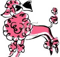 199x188 French Poodle Drawing