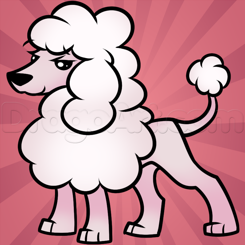 798x797 How To Draw A Toy Poodle Diy Crafts Poodle And Toy