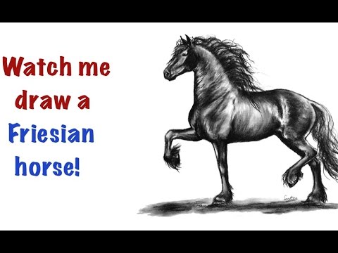 480x360 Drawing A Friesian Horse [Time Lapse]