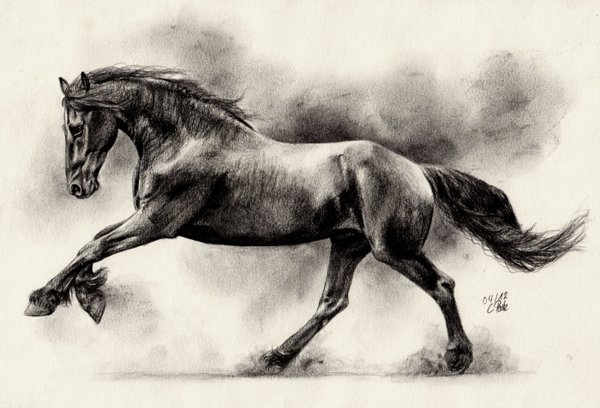 Friesian Horse Drawing at GetDrawings | Free download