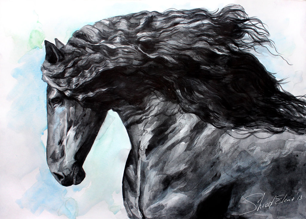 1024x735 Friesian Horse