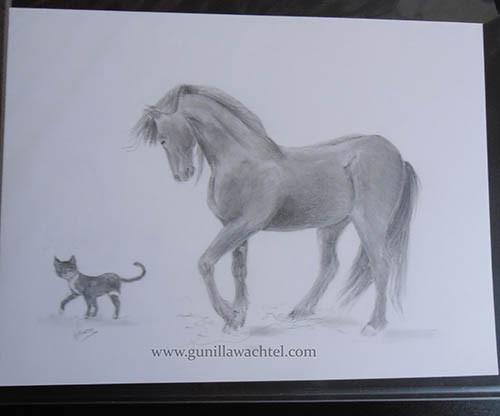 500x416 Friesian Horse With Cat