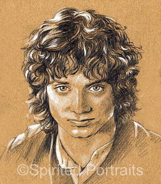 517x593 Frodo By Timedancer