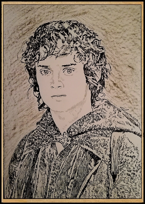 499x700 Little Fly Frodo Baggins Drawing By Cormac Lane