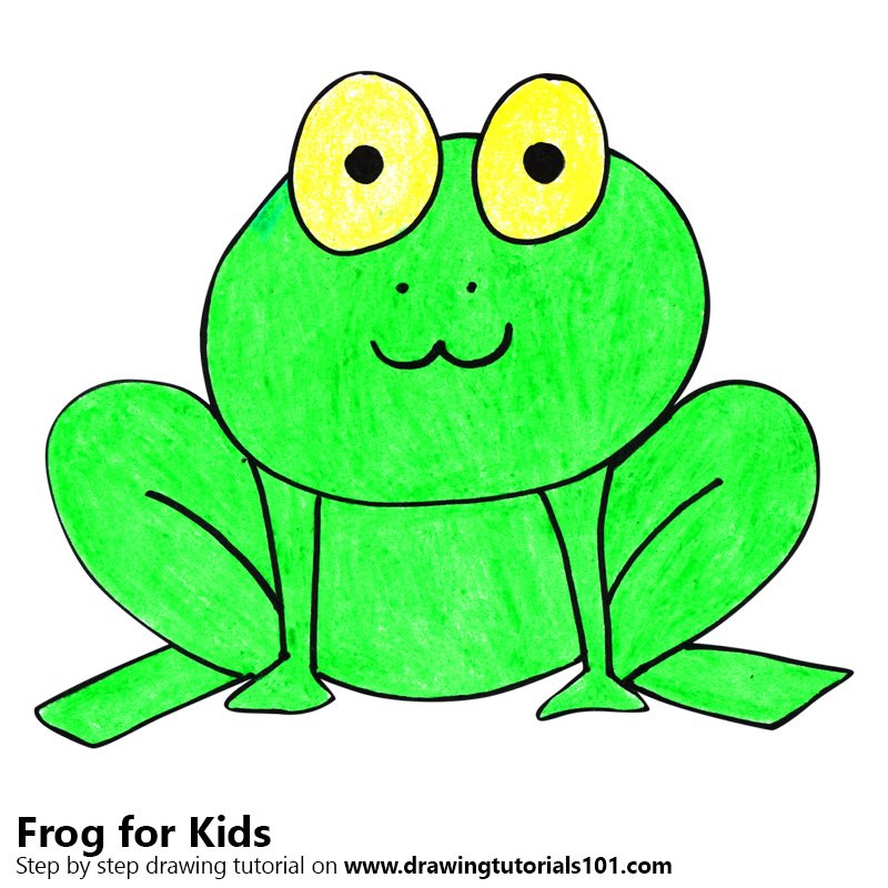 800x800 Step By Step How To Draw A Frog For Kids Very Easy