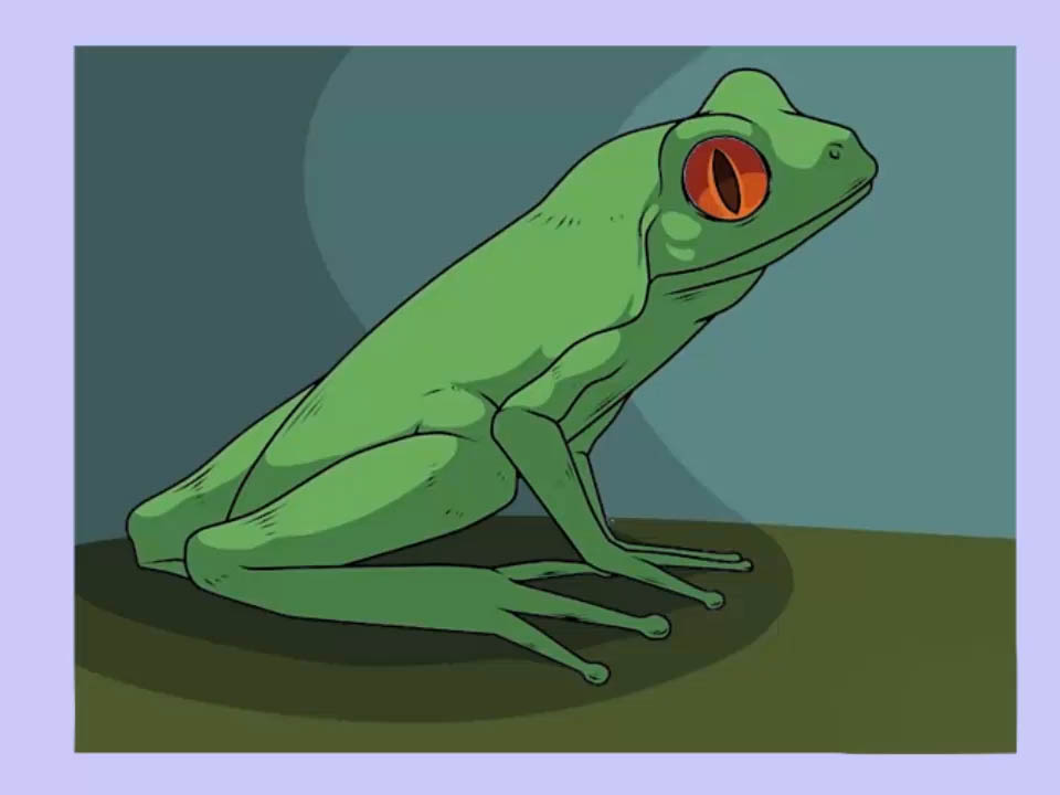 960x720 3 Ways To Draw A Frog Step By Step