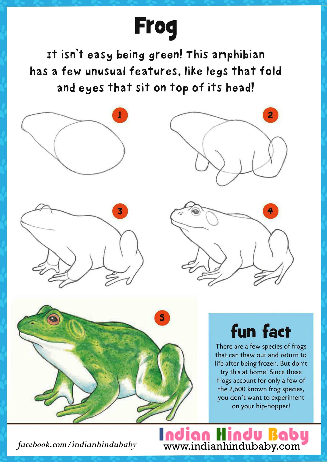 1240x1754 Know Some Of The Fact And Teach Your Kid To Draw And Paint Frog