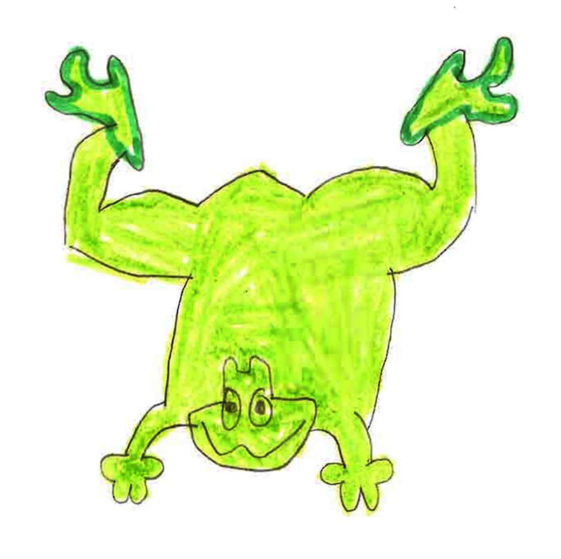 803x800 Mr. Frog By Amanda, Age 9. Funny Frog Drawing By Child. Kid