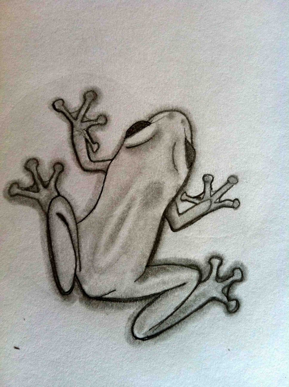 1195x1600 Drawings Of Frogs Here Is A Frog. Theo, Claudia And Damian Go