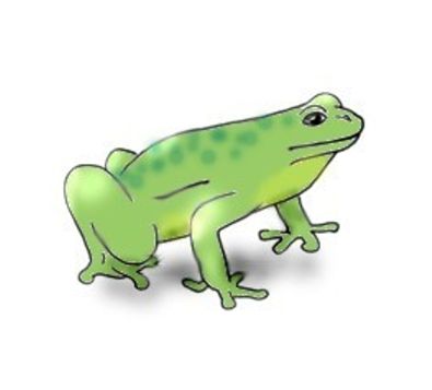 395x357 Draw A Cool Girl Cartoon With These Easy Steps Tree Frogs