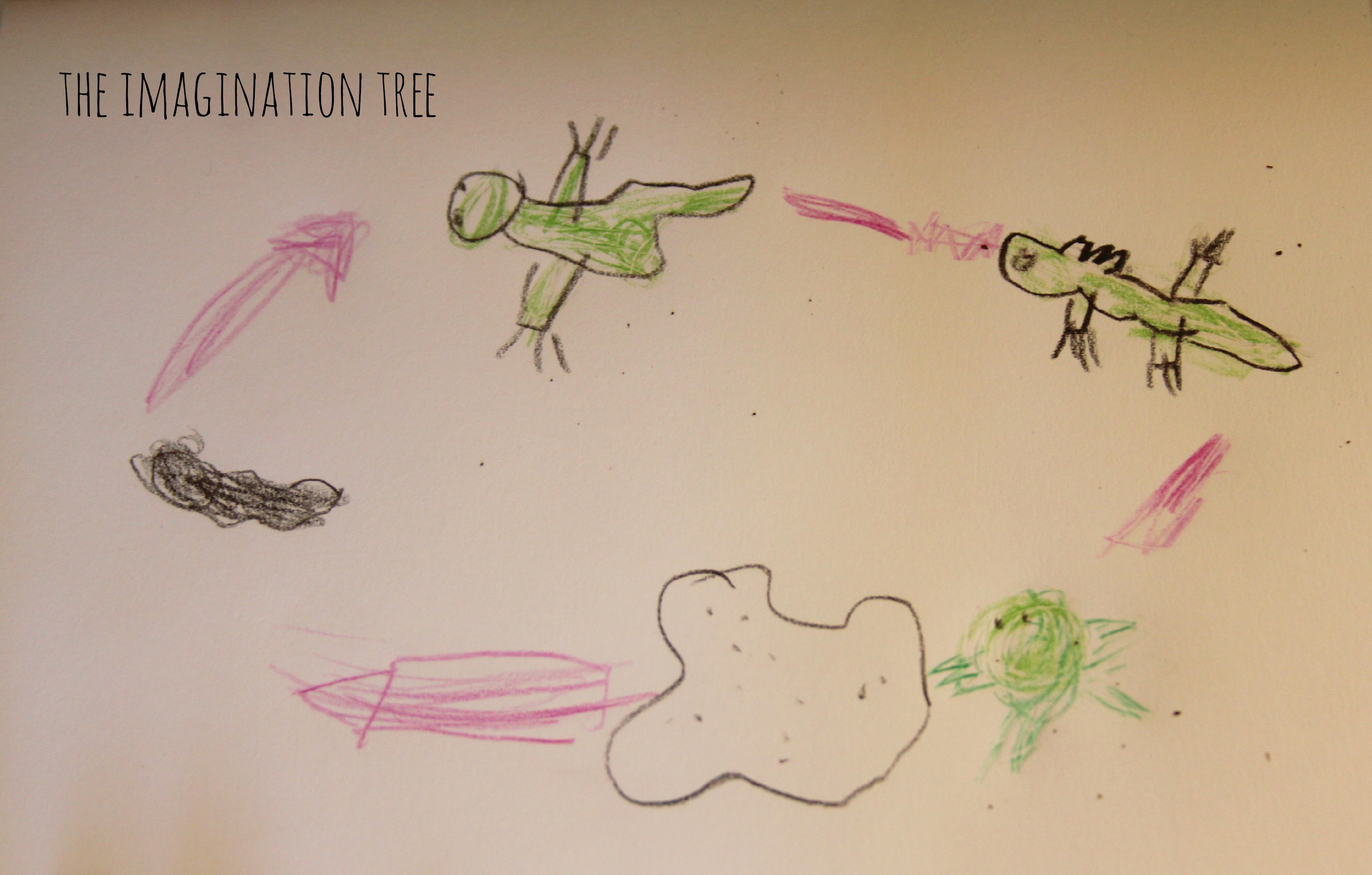 2881x1837 Tadpole And Frog Investigation Area