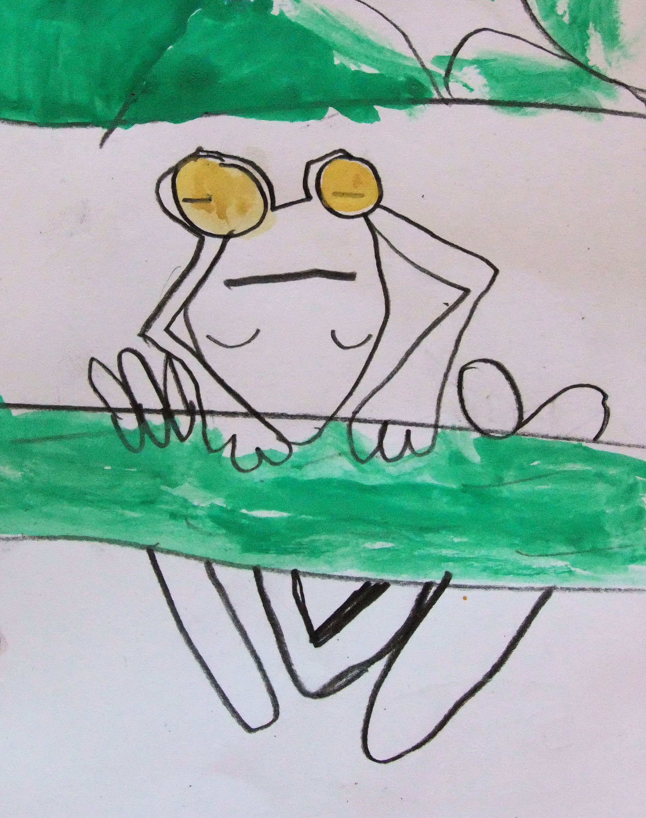 2265x2865 Tropical Tree Frogs Observational Drawing (May 2013) Hannah'S