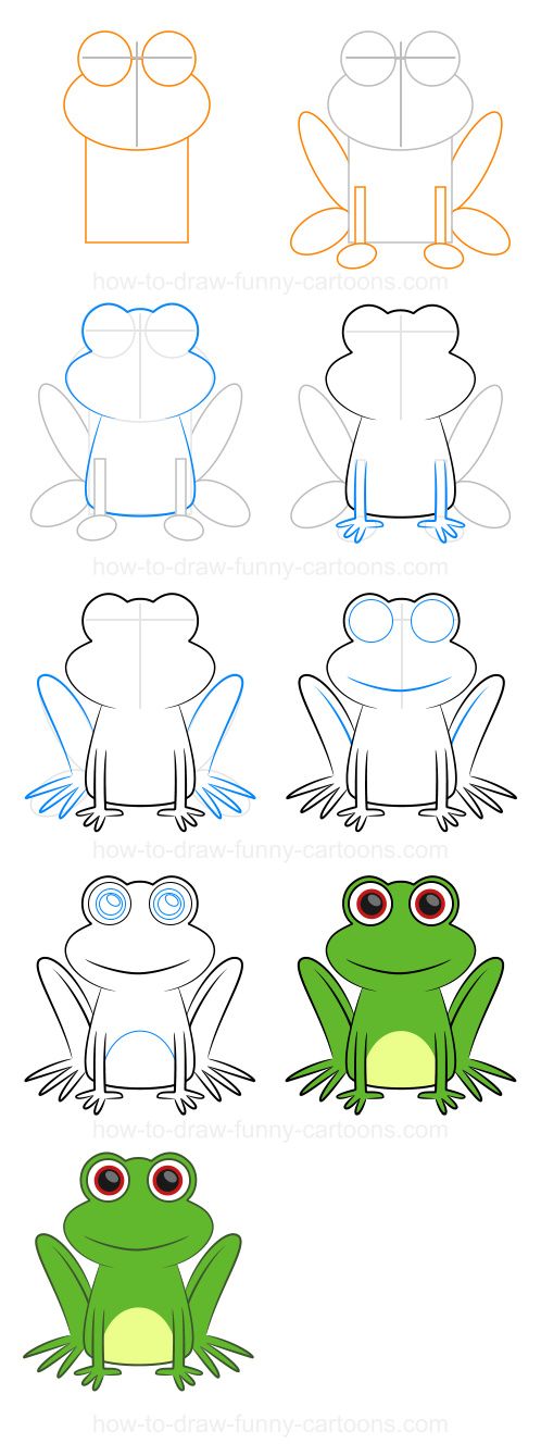 498x1339 Step By Step Drawing Lessons Frogs, Drawing Lessons And Drawings