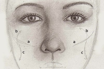 400x266 A Standard Female Face I'Ve Drawn From Scratch