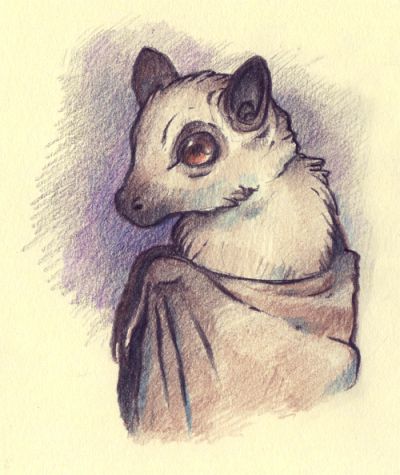 400x475 2304 Stylised Fruit Bat. This Is Mainly For Reference For How I