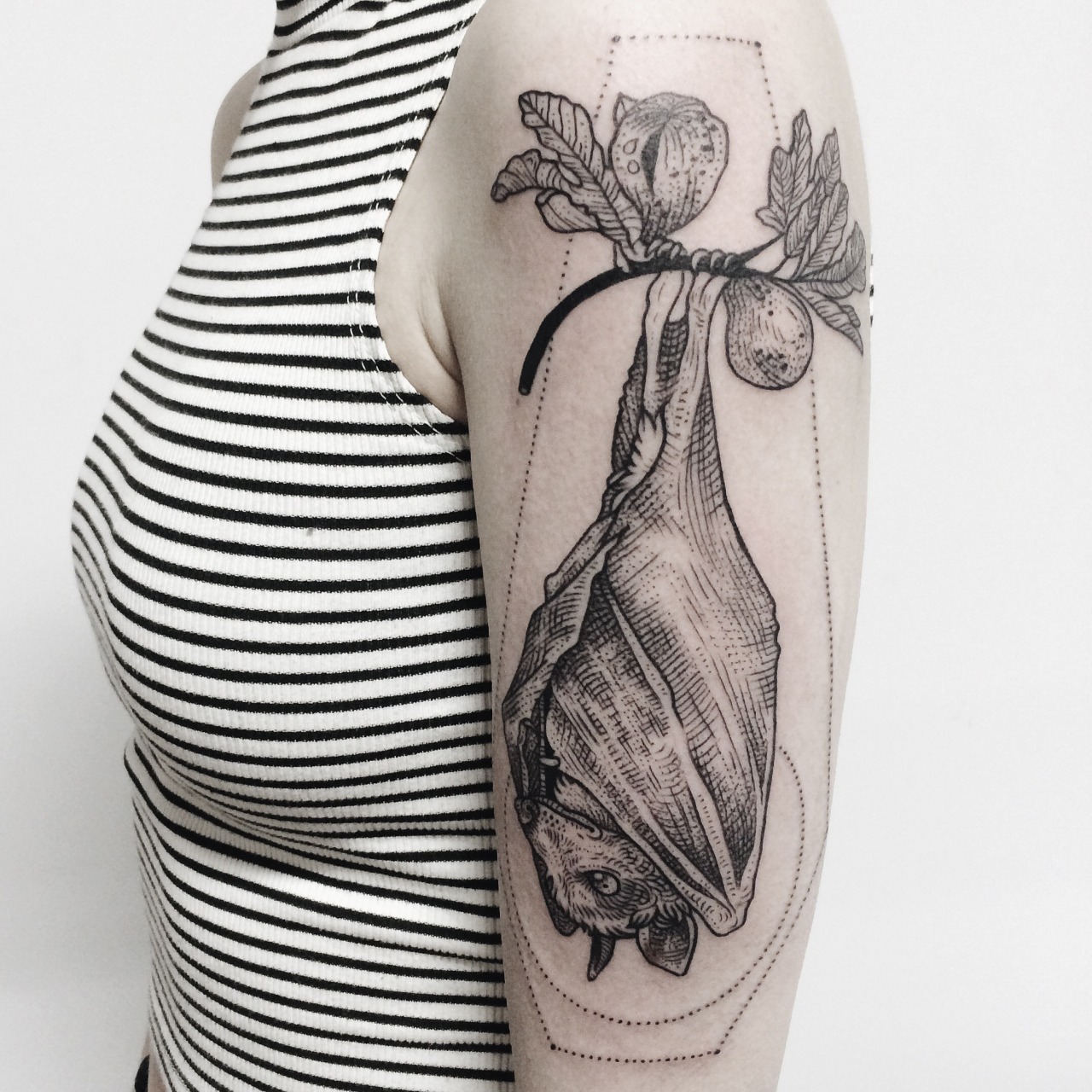 1280x1280 Fruit Bat Hanging From Fig Branch In Coffin