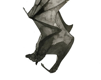 340x270 Fruit Bat Painting Etsy