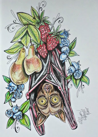 344x480 Megabat Fruit Bat Drawing With Pears Blueberries And Strawberries