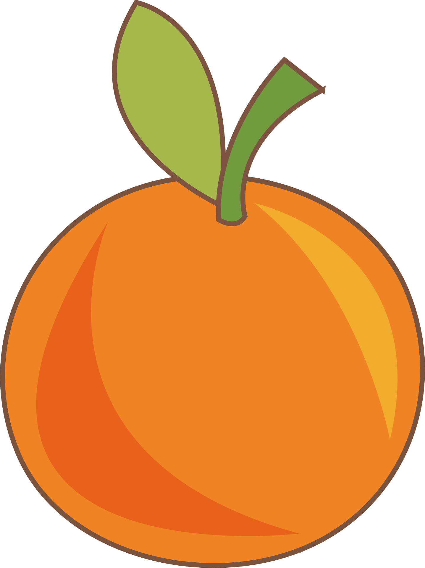 1437x1920 Big Orange Fruit Drawing Free Image