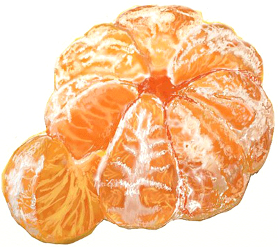 400x356 How To Draw An Orange