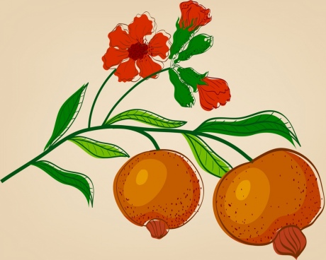460x368 Fruit Drawing Free Vector Download (91,275 Free Vector)