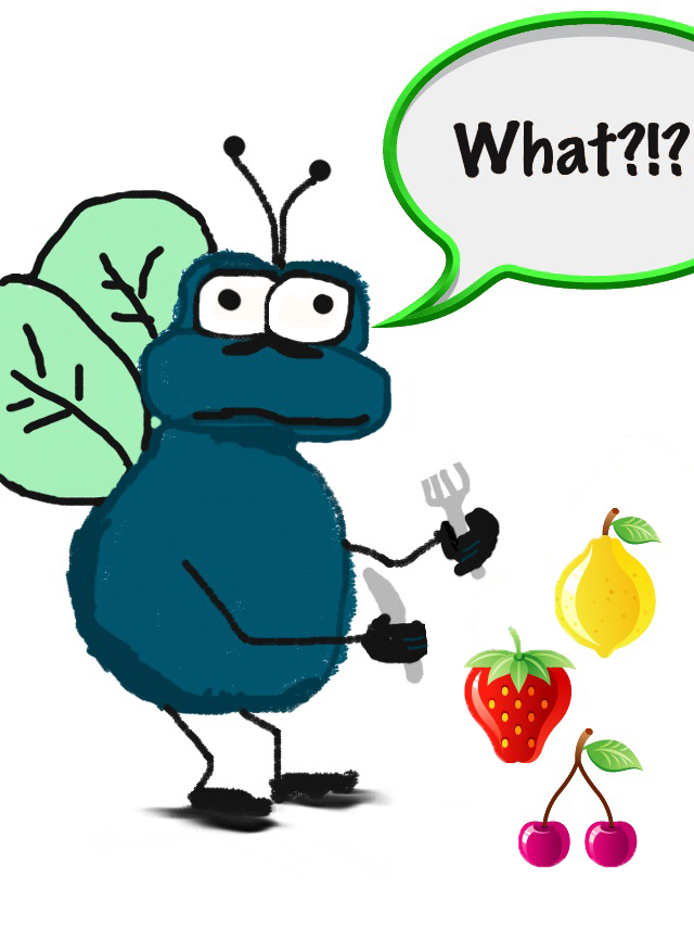 640x854 Yowzalicious Get Rid Of Fruit Flies Forever