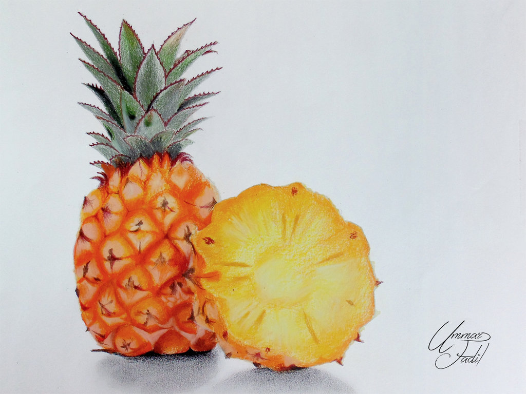 1024x768 Drawing Fruits 4