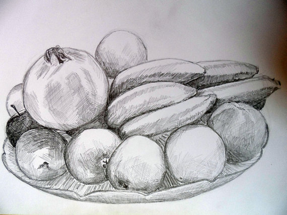 570x428 Vase With Fruit Nr.1 Pencil Drawing On Paper.