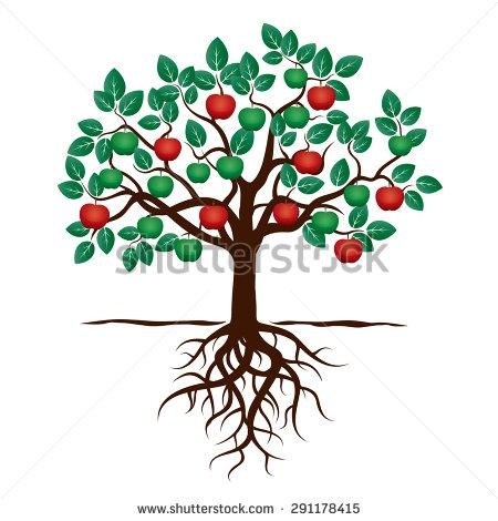 450x470 Tree Drawing With Roots And Fruits Simple Living Tree In