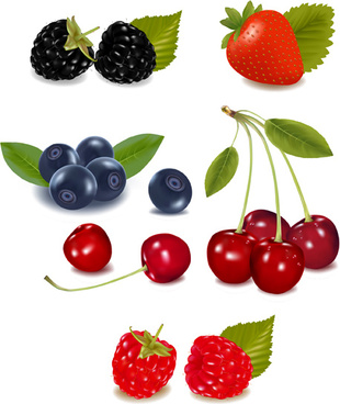 310x368 Drawing Fruits Vegetables Free Vector Download (91,656 Free Vector