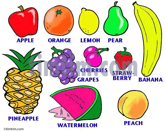 Fruits Drawing at GetDrawings | Free download