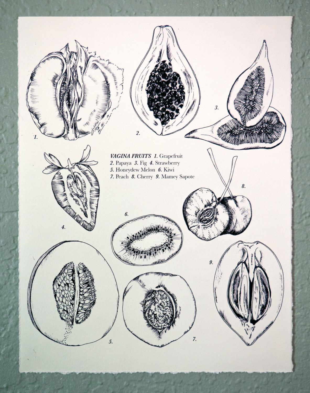 1183x1500 Vagina Fruits Drawing, 8x10 By Junebuganddarlin On Etsy Https