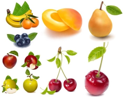 466x368 Fruit Drawing Free Vector Download (91,275 Free Vector)