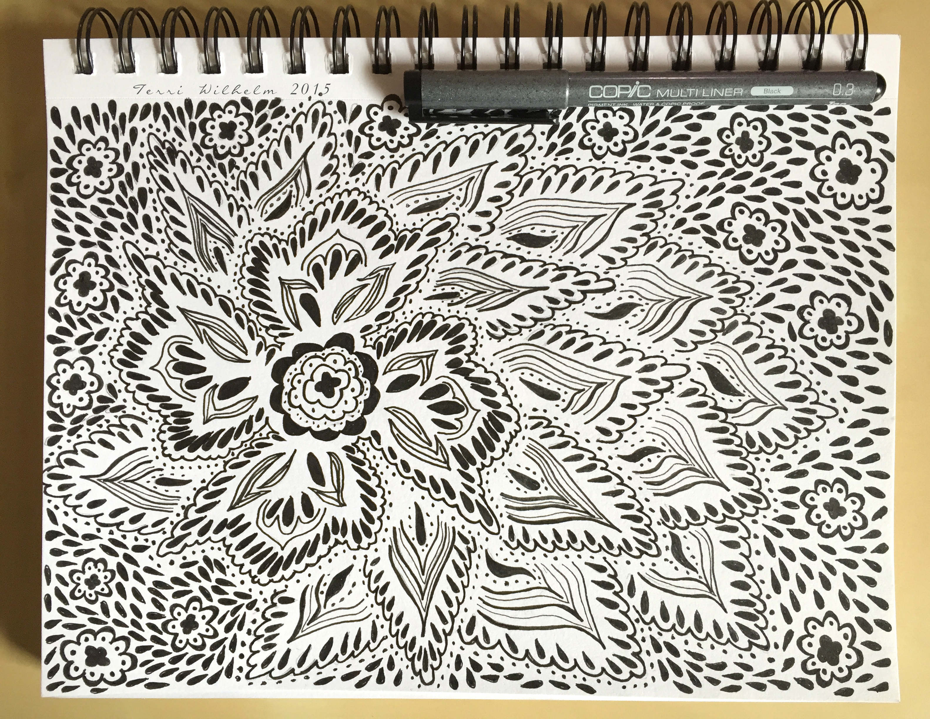 3165x2448 Drawing Terri's Notebook Page 14